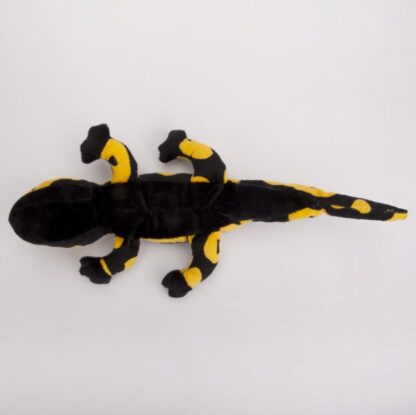 Salamandra czarno-żółta 40 cm