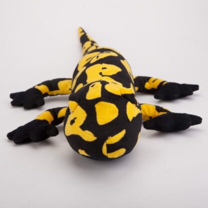 Salamandra czarno-żółta 65 cm