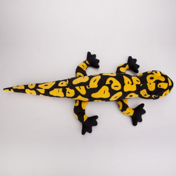 Salamandra czarno-żółta 65 cm