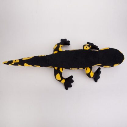 Salamandra czarno-żółta 65 cm