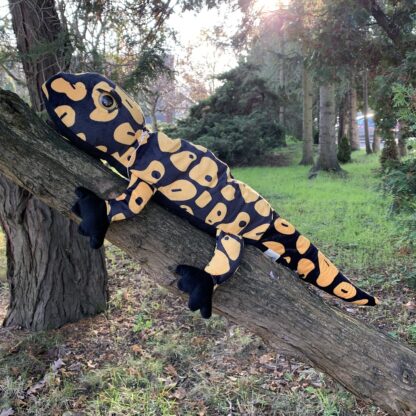 Salamandra czarno-żółta 65 cm