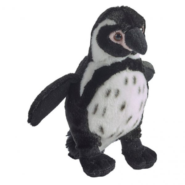 Pingwin Humboldta 18 cm