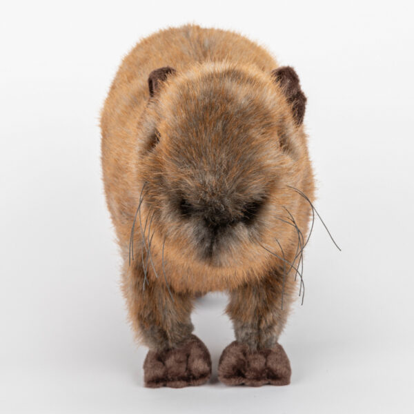 Maskotka dla dzieci kapibara