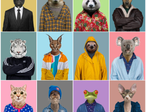 Odkryj nową kolekcję plakatów portrety zwierząt: Kapibara i inni ulubieńcy!