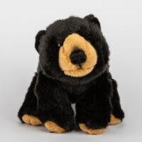 Maskotka dla dzieci niedźwiedź brunatny