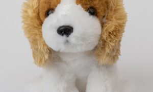 Pies Cocker Spaniel - maskotka dla dzieci