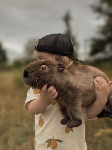 pluszowa kapibara maskotka dla dzieci