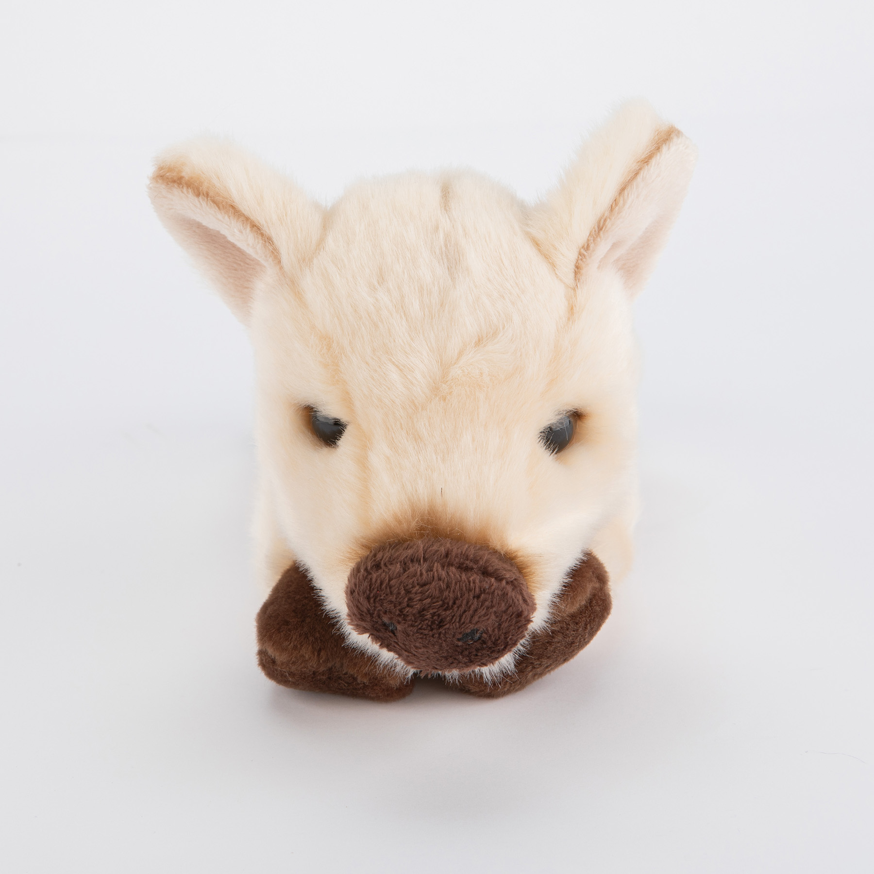 Dzik leżący 24 cm - obrazek 2