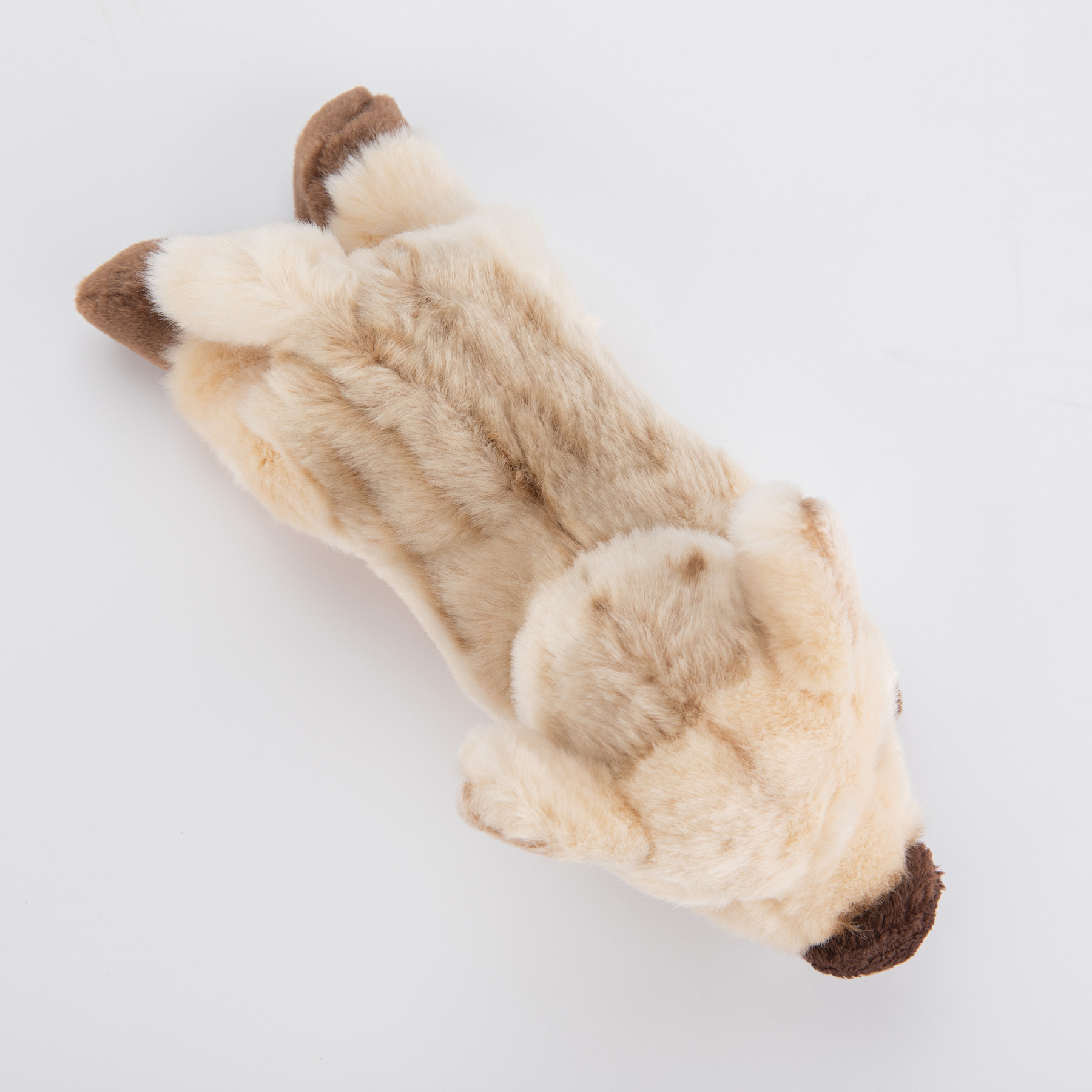 Dzik leżący 24 cm - obrazek 4