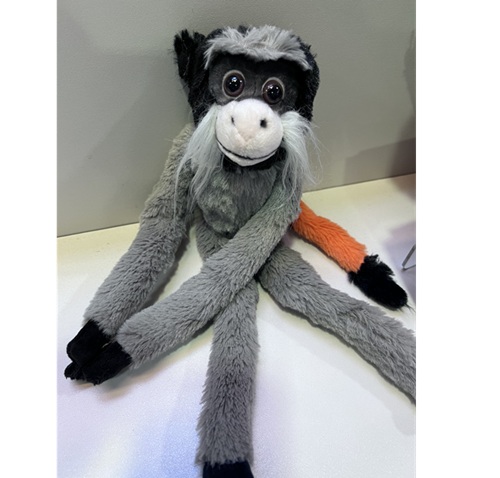 Małpka Tamaryna cesarska 33 cm