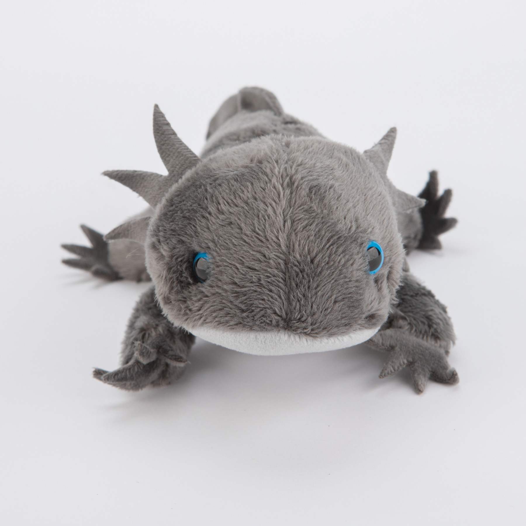 Aksolotl szary - obrazek 4