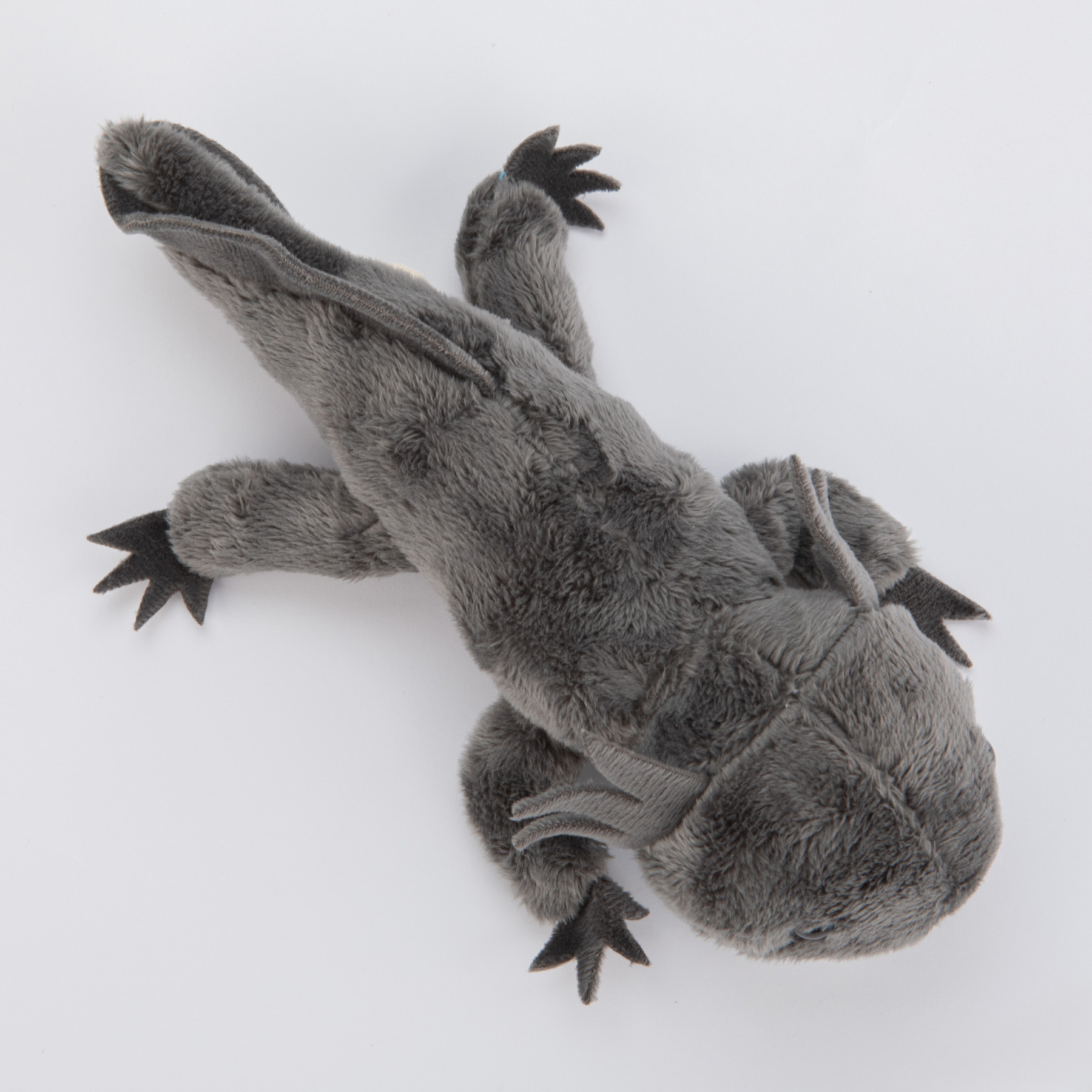 Aksolotl szary - obrazek 2