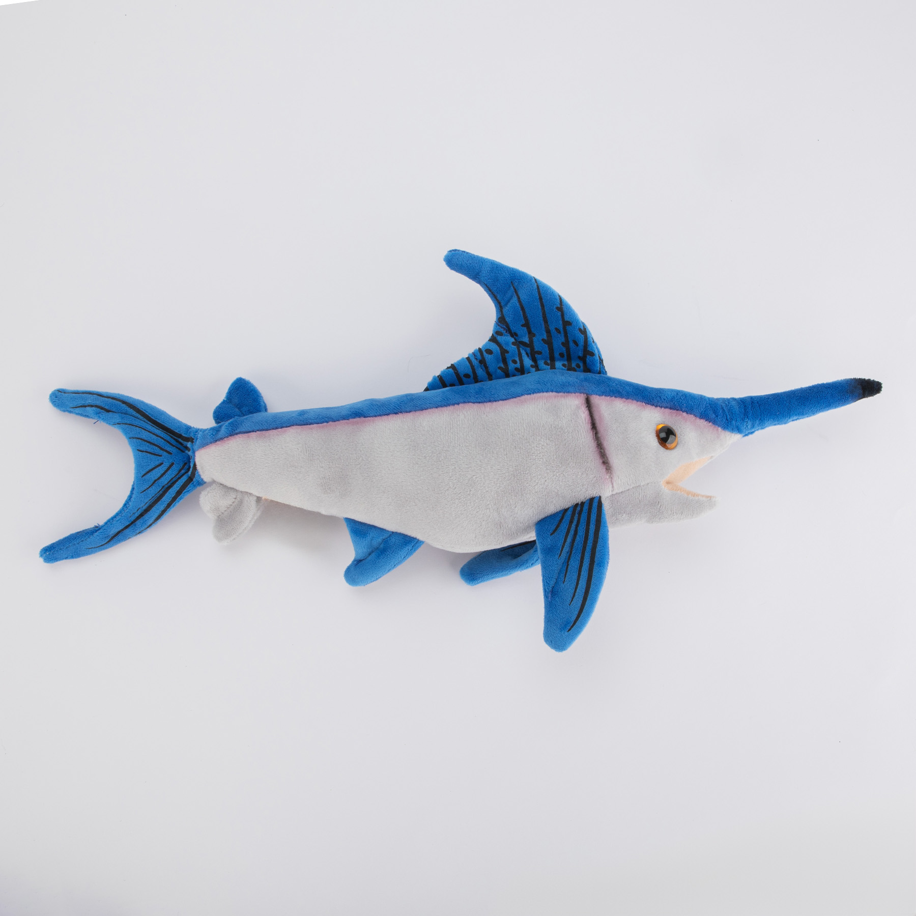 Ryba piła - obrazek 3