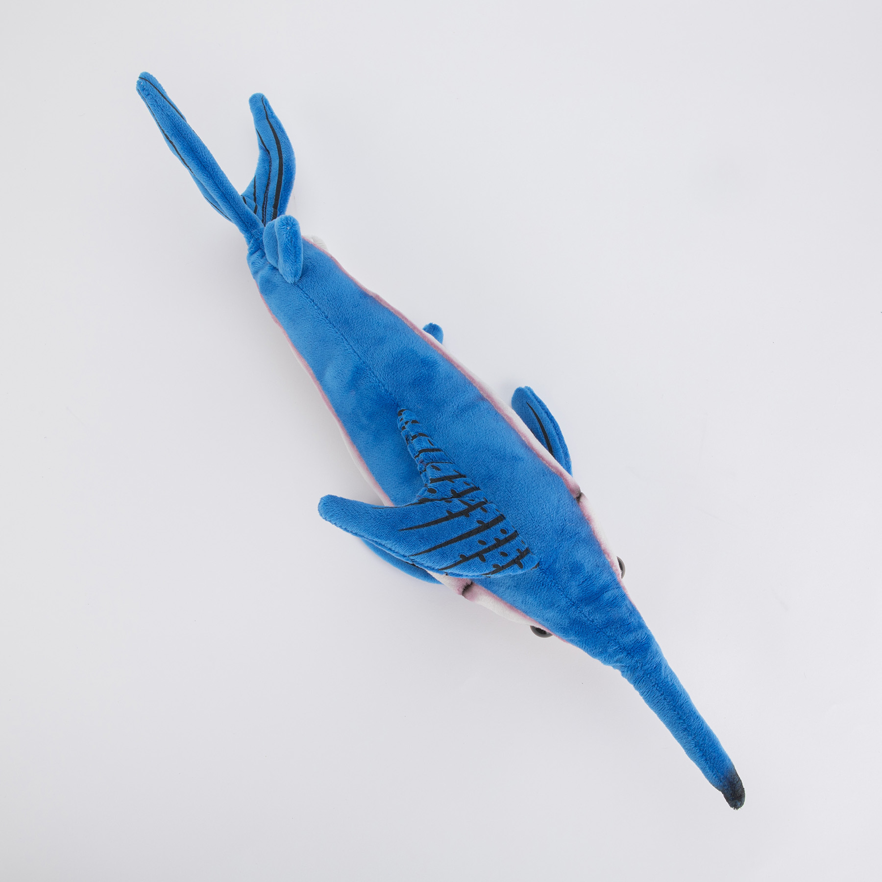 Ryba piła - obrazek 4