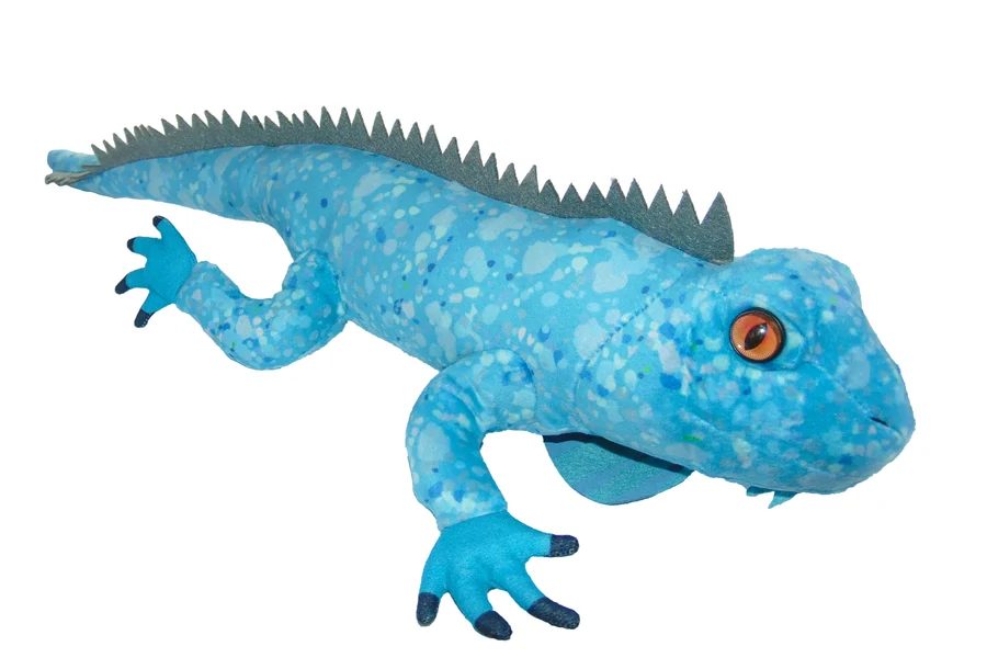 Iguana niebieska
