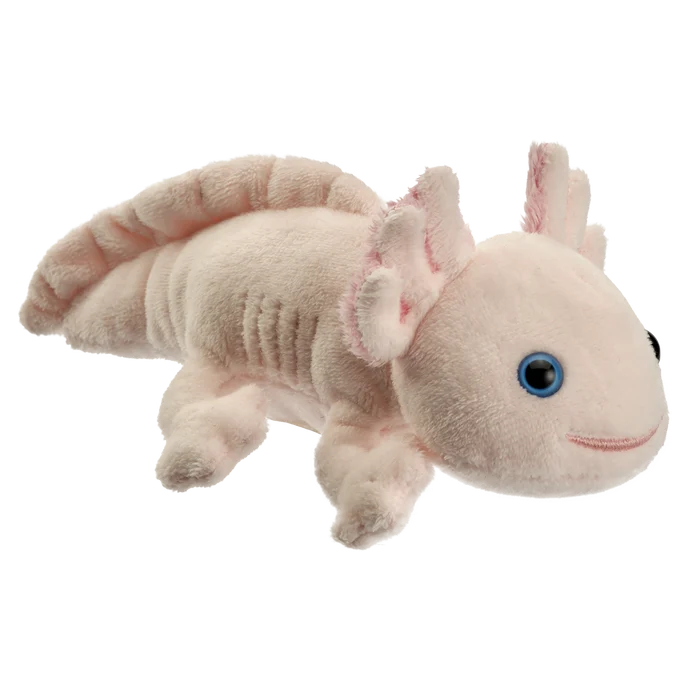 Aksolotl różowy 13 cm